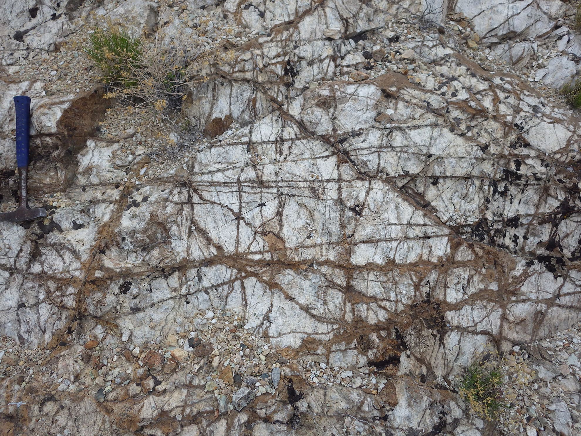 Dense vein stockwork of quartz, garnet and copper and iron oxide in recrystallized marble next to monzonite porphyry stock, East Zone